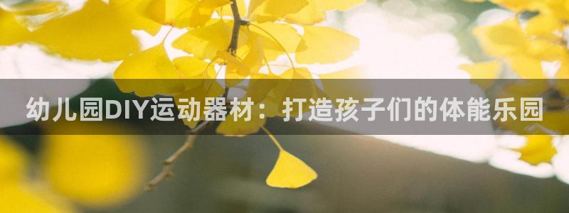 意昂体育3平台注册要钱吗安全吗：幼儿园DIY运动器材