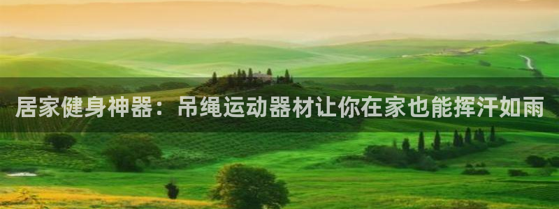 意昂3新能源：居家健身神器：吊绳运动器材让你在家也能