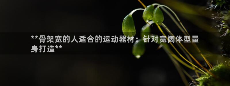 意昂3科技：**骨架宽的人适合的运动器材：针对宽阔体
