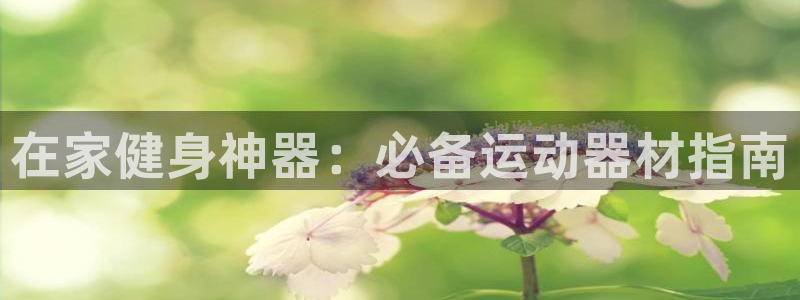意昂3娱乐：在家健身神器：必备运动器材指南