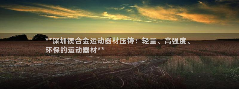 意昂体育3平台注册要钱吗安全吗：**深圳镁合金运动器