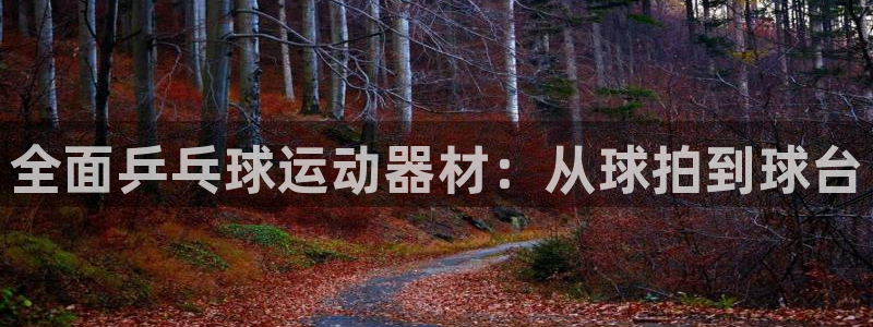 意昂3娱乐首页网站大全：全面乒乓球运动器材：从球拍到