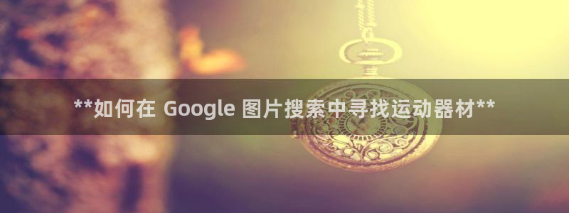 德国意昂3集团：**如何在 Google 图片搜索中