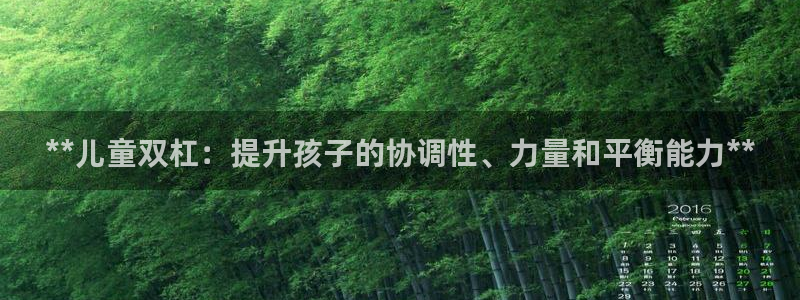 意昂3神州：**儿童双杠：提升孩子的协调性、力量和平