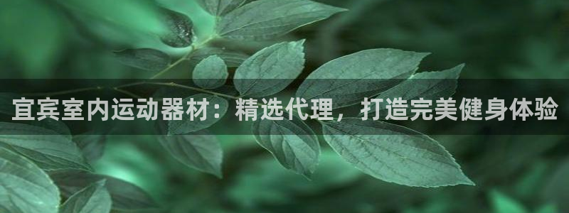 意昂体育3招商电话是多少：宜宾室内运动器材：精选代理
