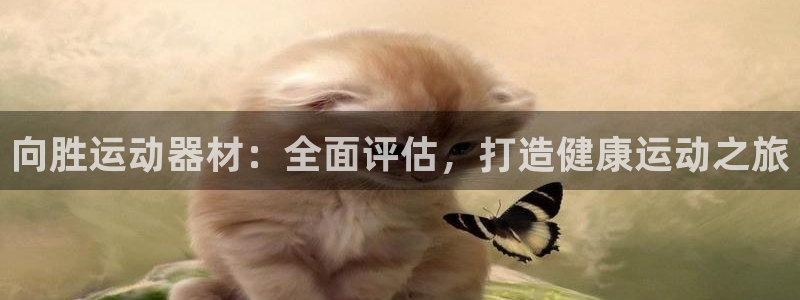 意昂体育3开户：向胜运动器材：全面评估，打造健康运动