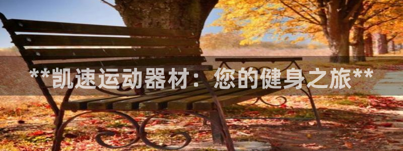 意昂3集团E.ON：**凯速运动器材：您的健身之旅*