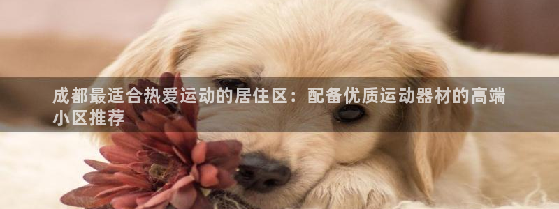 意昂3娱乐下载：成都最适合热爱运动的居住区：配备优质
