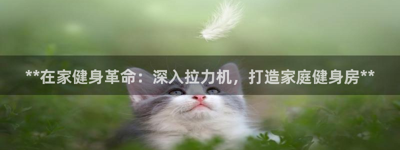 意昂体育3平台注册流程图：**在家健身革命：深入拉力