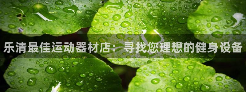 意昂3集团logo：乐清最佳运动器材店：寻找您理想的