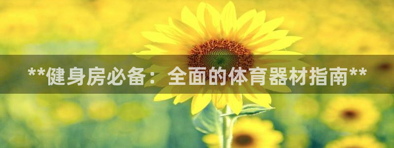 海南意昂体育3发展怎么样：**健身房必备：全面的体育