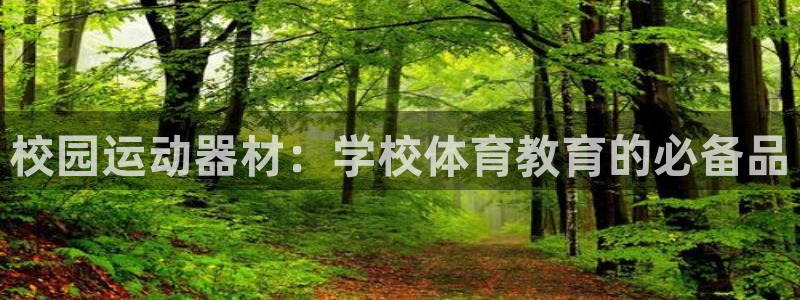 意昂体育3开户：校园运动器材：学校体育教育的必备品