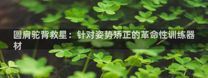 意昂3神州：圆肩驼背救星：针对姿势矫正的革命性训练器