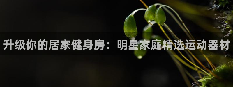 意昂体育3平台注册要钱吗：升级你的居家健身房：明星家