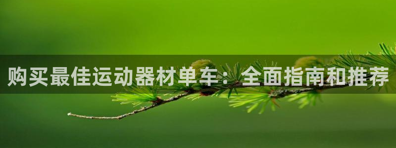 意昂3娱乐首页官网下载：购买最佳运动器材单车：全面指