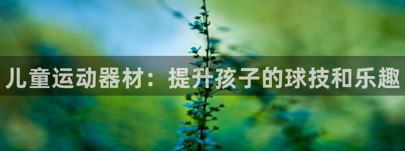 意昂3集团官网首页：儿童运动器材：提升孩子的球技和乐