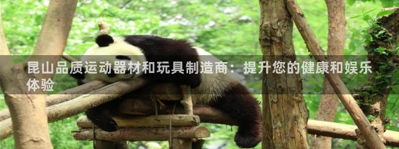 意昂体育3招商电话是多少号码：昆山品质运动器材和玩具