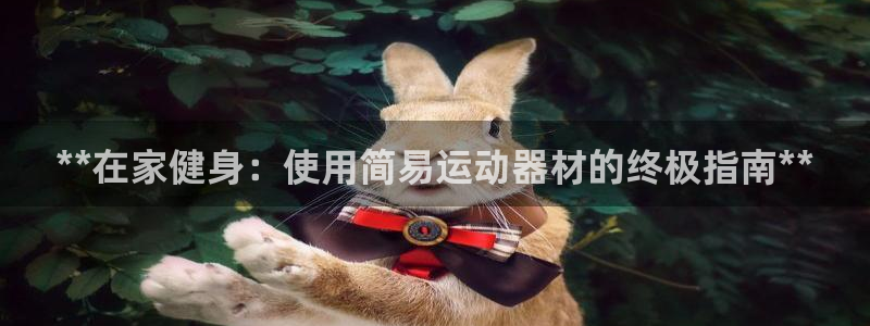 意昂体育3平台注册要钱吗安全吗：**在家健身：使用简