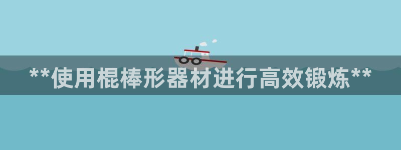 意昂3官方：**使用棍棒形器材进行高效锻炼**
