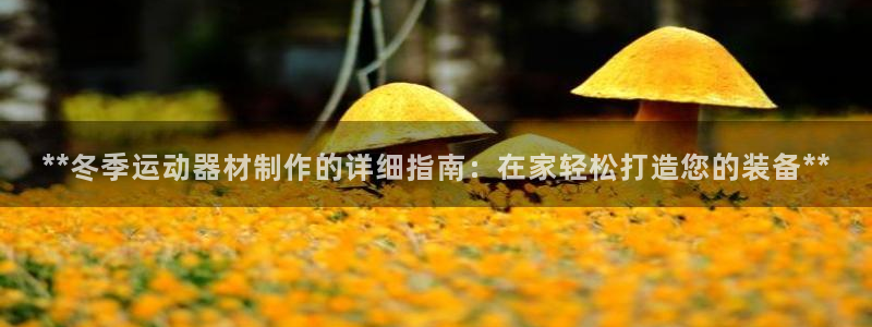 意昂体育3官方客服电话：**冬季运动器材制作的详细指