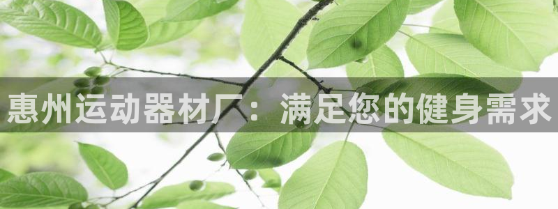 意昂3娱乐首页官网下载：惠州运动器材厂：满足您的健身
