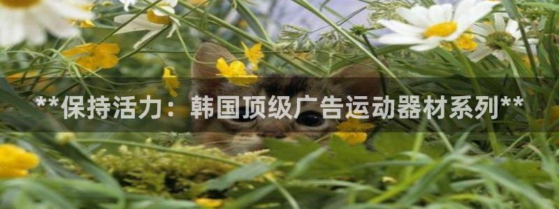 意昂3代理：**保持活力：韩国顶级广告运动器材系列*