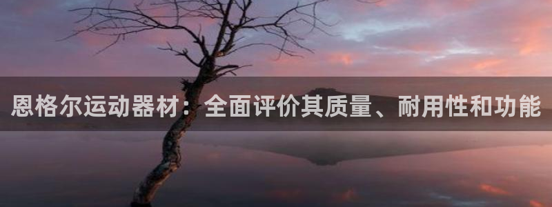 意昂体育3软件：恩格尔运动器材：全面评价其质量、耐用