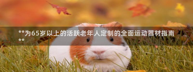 意昂3集团简介：**为65岁以上的活跃老年人定制的全
