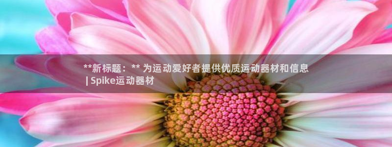 意昂3集团简介：**新标题：** 为运动爱好者提供优