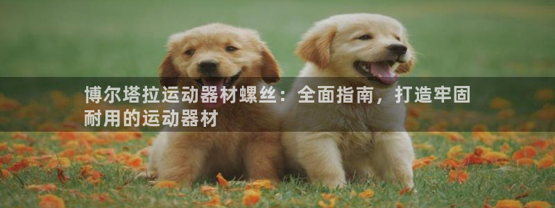 海南意昂体育3：博尔塔拉运动器材螺丝：全面指南，打造