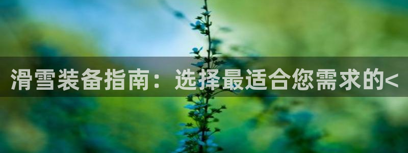 意昂3集团简介：滑雪装备指南：选择最适合您需求的<