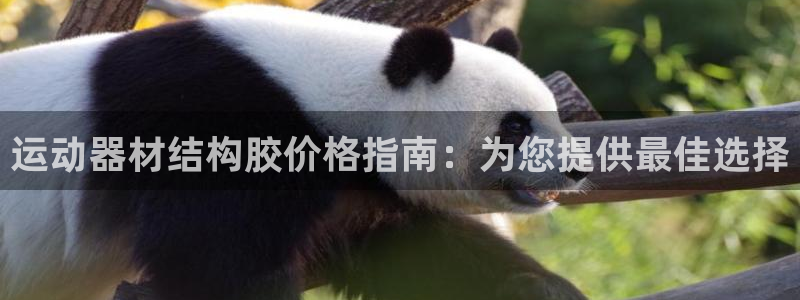 意昂体育3平台是正规平台吗：运动器材结构胶价格指南：