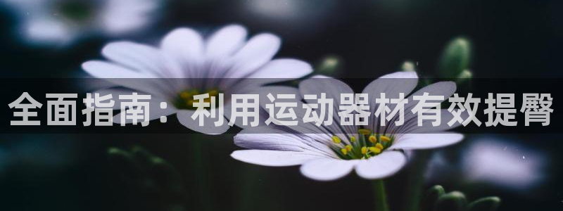意昂体育3平台注册流程图：全面指南：利用运动器材有效