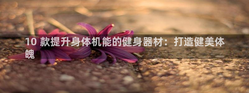 海南意昂体育3发展怎么样：10 款提升身体机能的健身