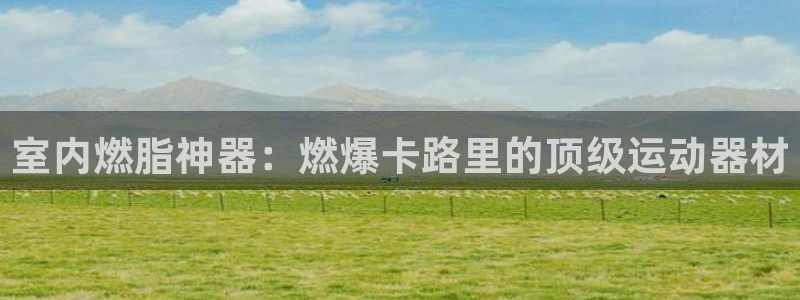 意昂3娱乐首页官网下载：室内燃脂神器：燃爆卡路里的顶