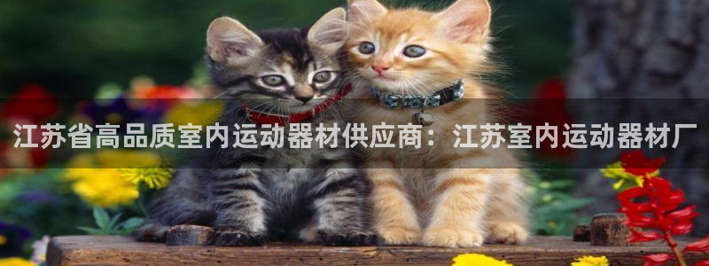 意昂体育3平台注册流程图：江苏省高品质室内运动器材供