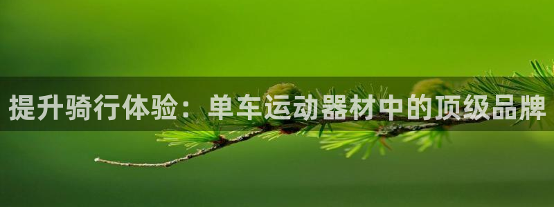 德国意昂3集团：提升骑行体验：单车运动器材中的顶级品