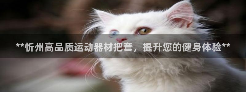 意昂3官网：**忻州高品质运动器材把套，提升您的健身