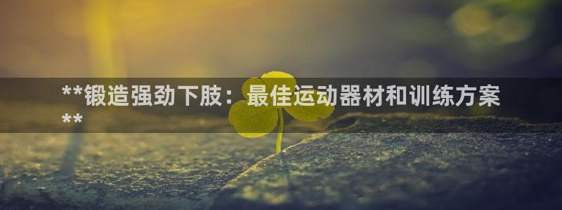 意昂体育3软件：**锻造强劲下肢：最佳运动器材和训练