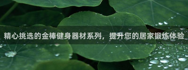 意昂3娱乐网站：精心挑选的金棒健身器材系列，提升您的