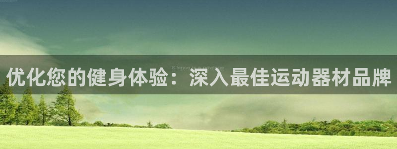 意昂体育3平台注册：优化您的健身体验：深入最佳运动器