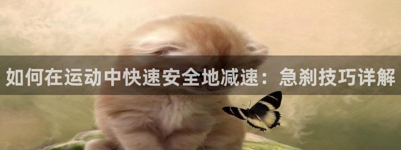 意昂体育3平台是正规平台吗：如何在运动中快速安全地减