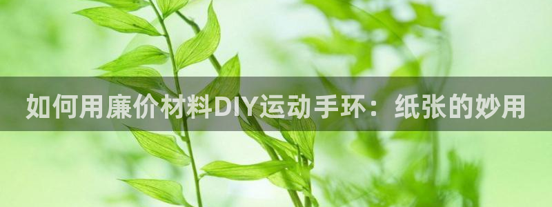 意昂体育3招商电话是多少啊：如何用廉价材料DIY运动