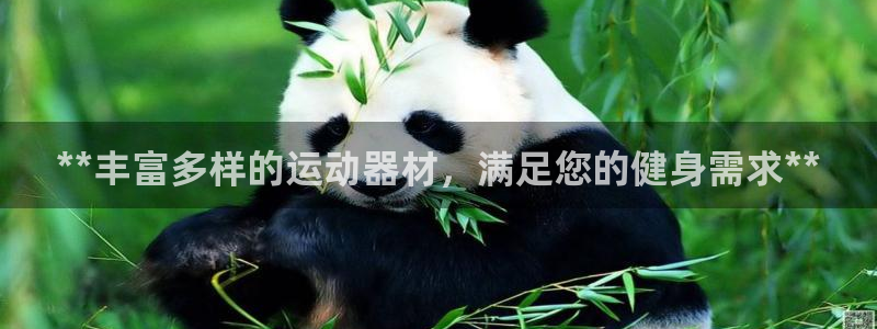 意昂体育3联系电话：**丰富多样的运动器材，满足您的