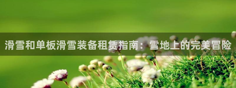 意昂体育3注册：滑雪和单板滑雪装备租赁指南：雪地上的