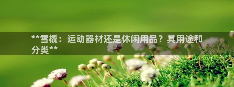意昂体育3平台注册：**雪橇：运动器材还是休闲用品？