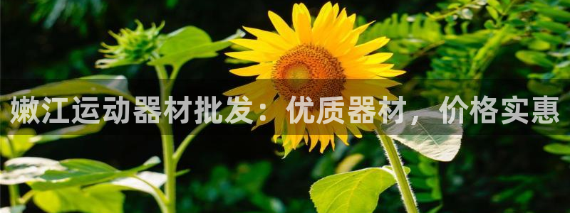 意昂体育3联系电话：嫩江运动器材批发：优质器材，价格