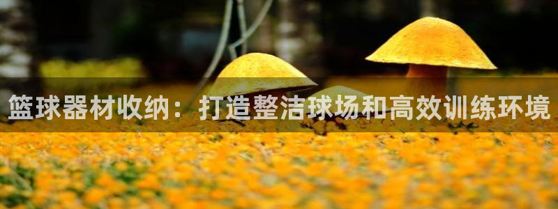 意昂体育3招商电话号码是多少号：篮球器材收纳：打造整