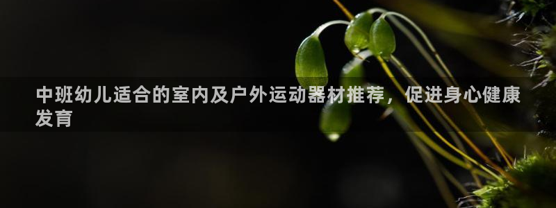 意昂平台体育：中班幼儿适合的室内及户外运动器材推荐，