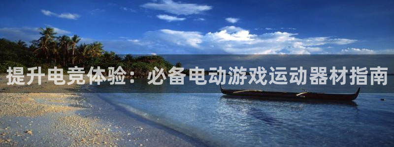 德国意昂3集团：提升电竞体验：必备电动游戏运动器材指南